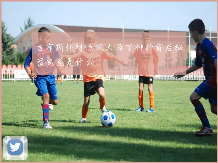 吉布斯怀特惊叹大马丁神扑背后秘密究竟是什么